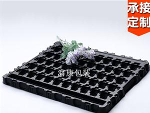 電子吸塑包裝(電子吸塑包裝,電子塑料吸塑內襯)