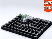 電子吸塑包裝(電子吸塑包裝,電子塑料吸塑內襯)